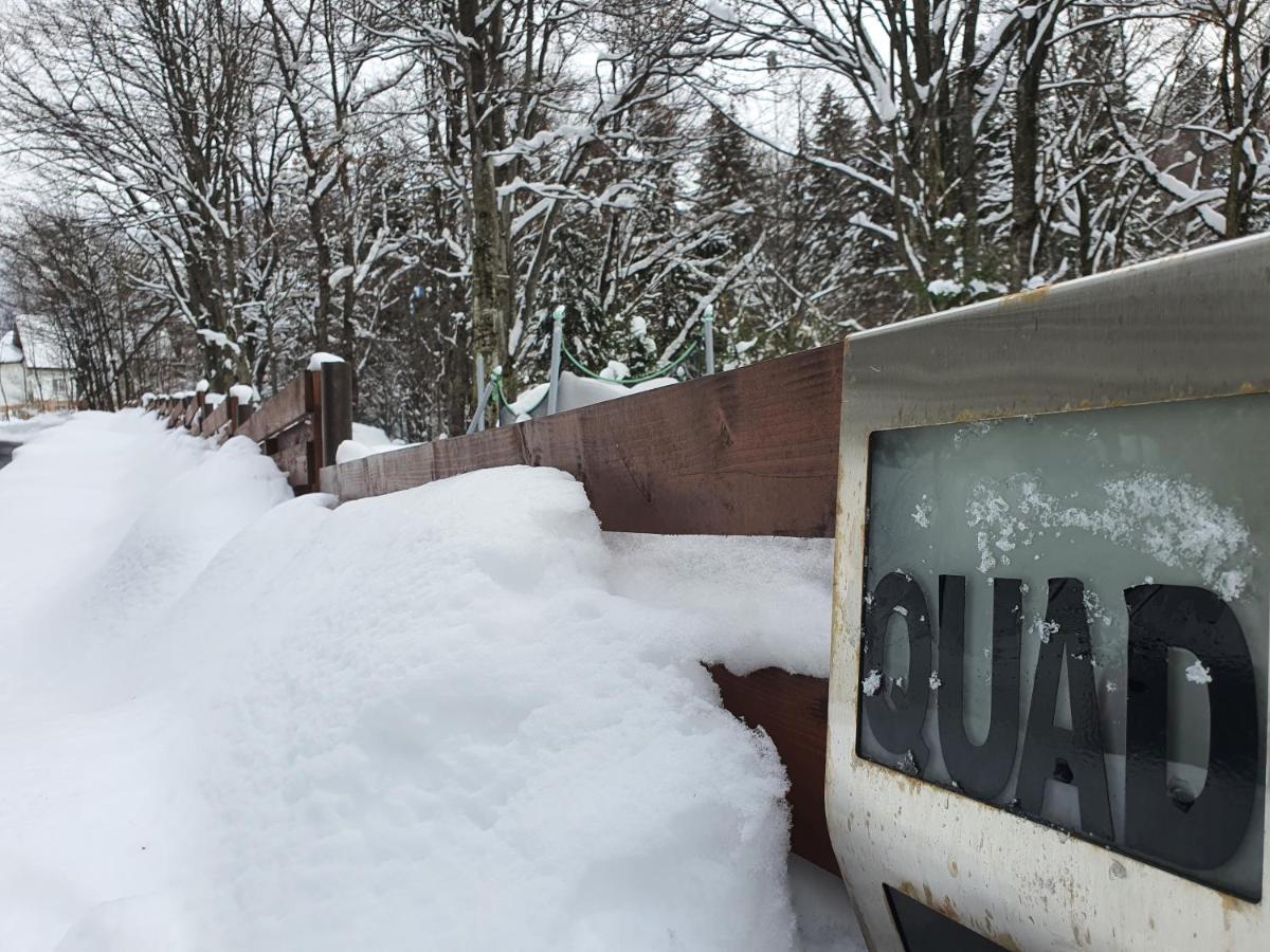 Villa Quad Poiana Brasov Exteriör bild