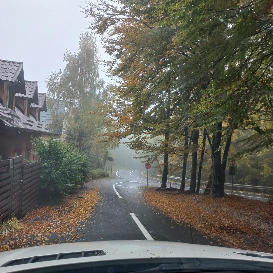 Villa Quad Poiana Brasov Exteriör bild