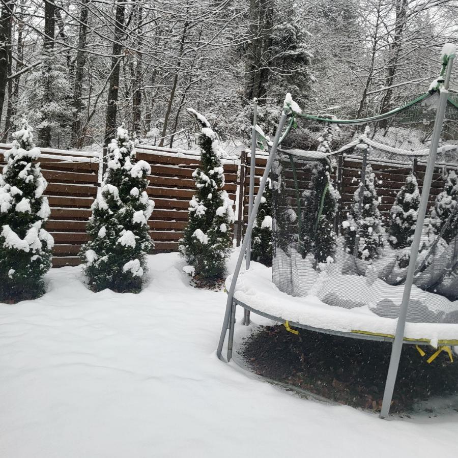 Villa Quad Poiana Brasov Exteriör bild