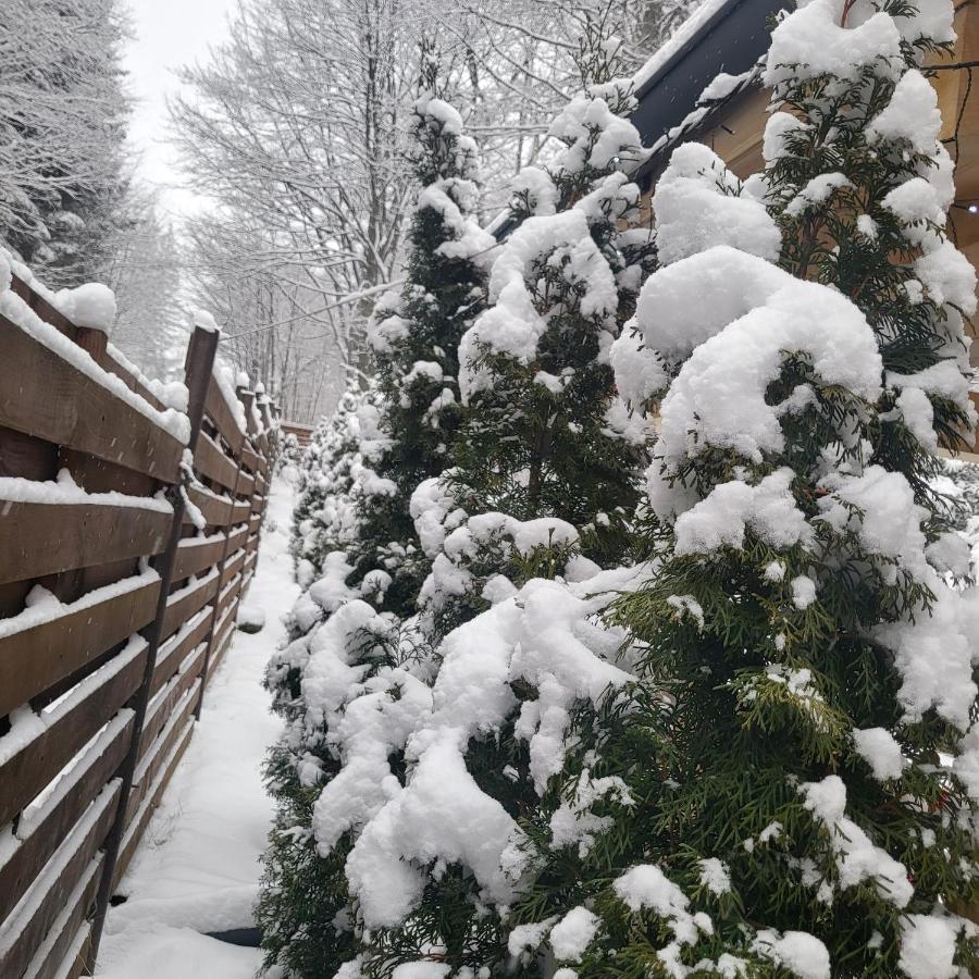Villa Quad Poiana Brasov Exteriör bild